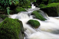 Cataract Creek