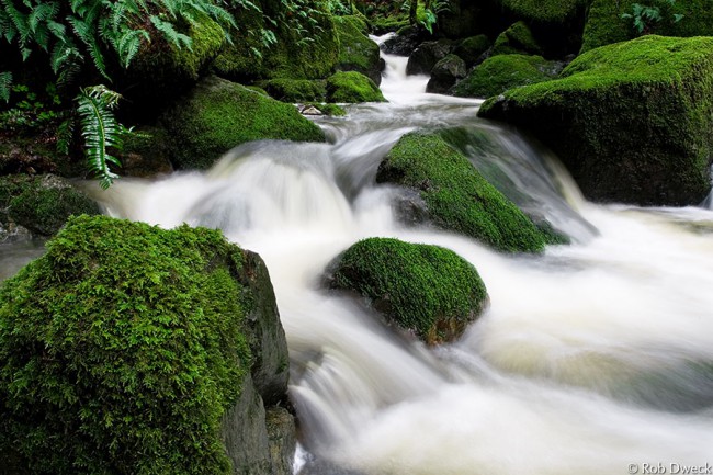 Cataract Creek