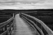 Greenwich Dunes Trail