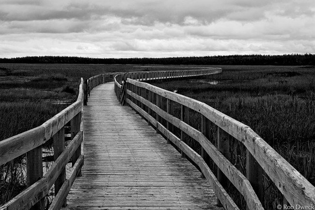 Greenwich Dunes Trail