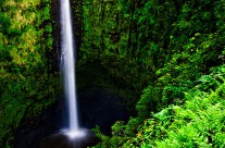 Akaka Falls