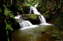 Onomea Falls
