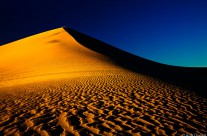 Mesquite Dunes at Sunset 1