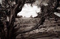 With Apologies to John Ford
