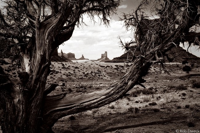 With Apologies to John Ford
