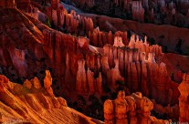 Glowing Hoodoos at Sunrise
