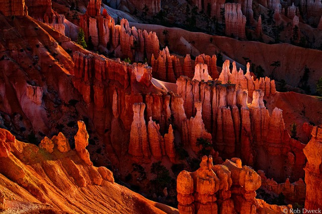 Glowing Hoodoos at Sunrise