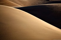 Dune Shadows