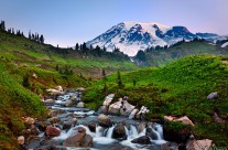Edith Creek and Mount Rainier