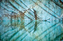 Cavell Glacier Reflection