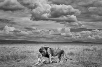 Prelude (Under Stormy Skies)