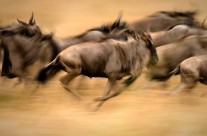 Migration 5