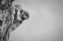 Hanging on to the View From Here