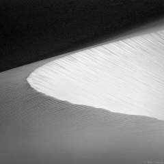 Dunes 8